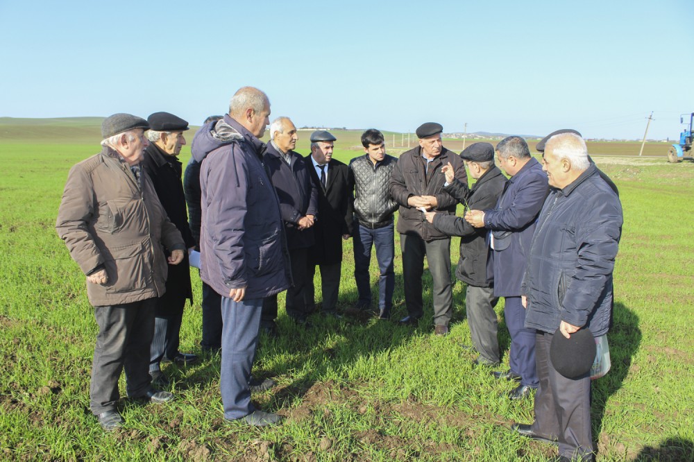 Zərərvericilərə qarşı drondan istifadə ediləcək - FOTO